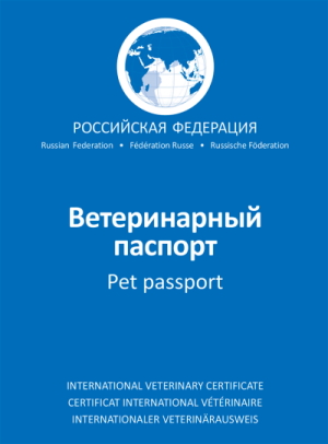 Зоотакси в Москве. Перевозка животных по России