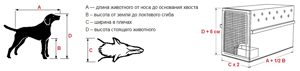 Зоотакси в Москве. Перевозка животных по России.